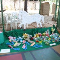 festa-country-