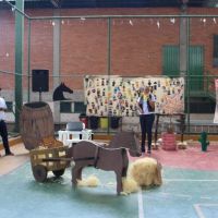 festa-country-