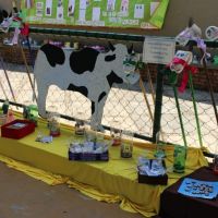 festa-country-
