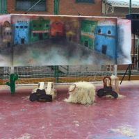 festa-country-