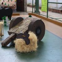 festa-country-
